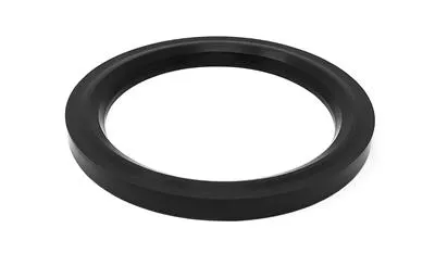 SEAL FPM SRC 4" LWR, UPR